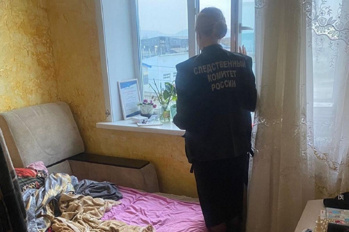 В Южно-Сахалинске годовалый мальчик выпал из окна жилого дома, СК начал досудебную проверку В Южно-Сахалинске годовалый мальчик выпал из окна жилого дома, СК начал досудебную проверку
