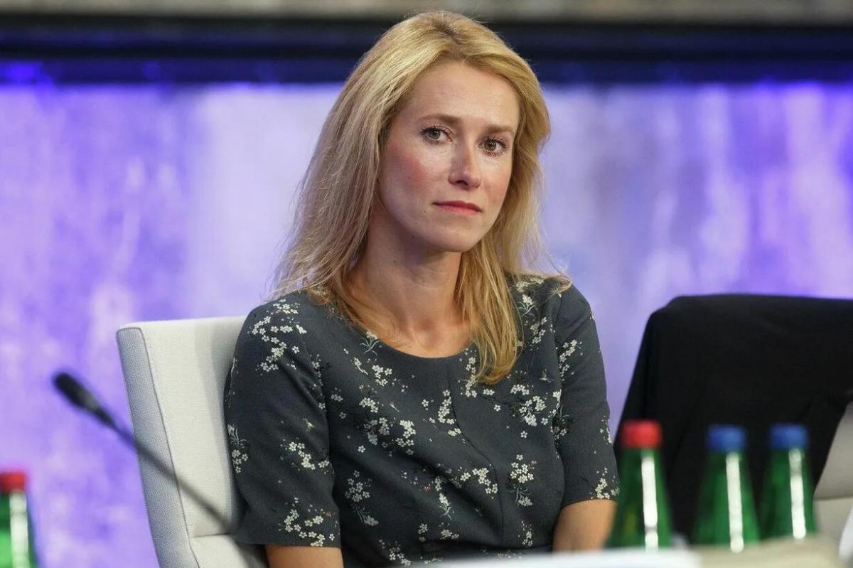 Премьер Эстонии заявила о страхе поддерживать Украину Премьер Эстонии заявила о страхе поддерживать Украину