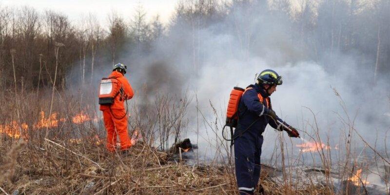 В Смирныховском районе на Сахалине спасатели борются с возгоранием сухой травы, охватившим площадь в 2 тыс. кв. метров В Смирныховском районе на Сахалине спасатели борются с возгоранием сухой травы, охватившим площадь в 2 тыс. кв. метров