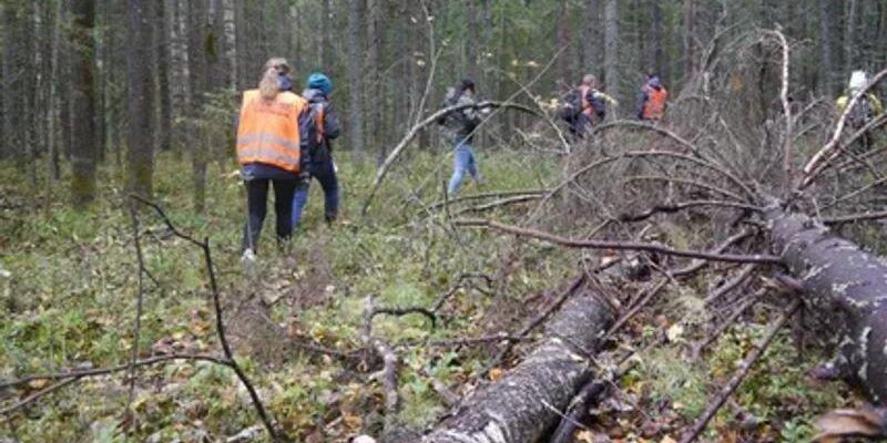 В Приморье волонтеры спасли 92-летнюю бабушку, двое суток пролежавшую на холодной земле в лесу В Приморье волонтеры спасли 92-летнюю бабушку, двое суток пролежавшую на холодной земле в лесу