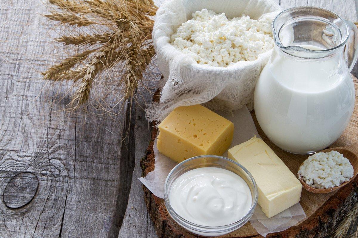Рассказано, кому молочные продукты могут принести пользу, а кому вред Рассказано, кому молочные продукты могут принести пользу, а кому вред