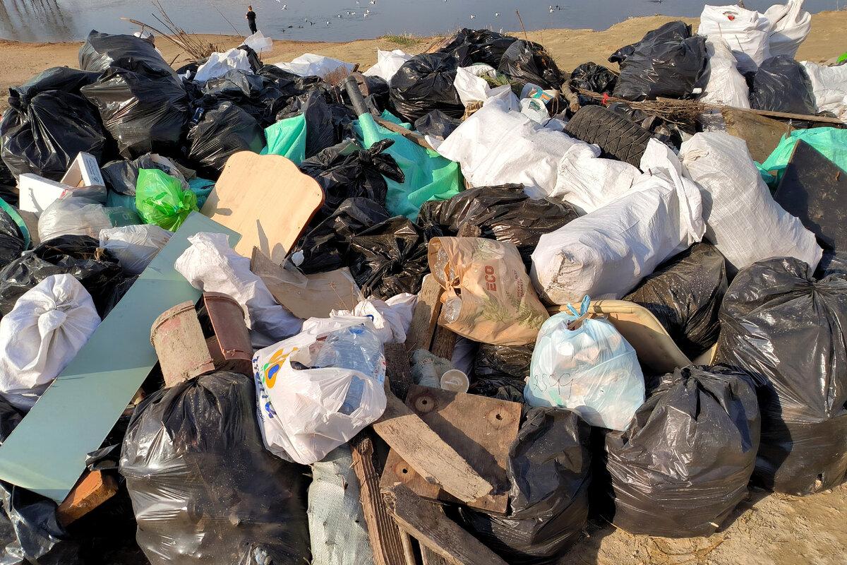 Гора документов с данными водителей и автомобилей найдена на помойке в Челябинске Гора документов с данными водителей и автомобилей найдена на помойке в Челябинске