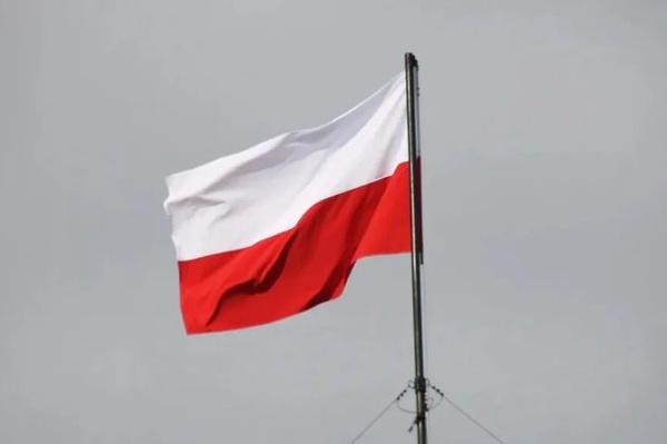В Польше заявили о желании Зеленского втянуть страну в войну с Россией В Польше заявили о желании Зеленского втянуть страну в войну с Россией