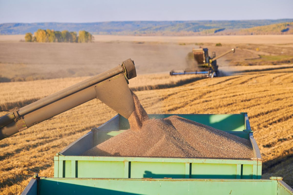Европа увеличила стоимость импорта продукции из России и Белоруссии Европа увеличила стоимость импорта продукции из России и Белоруссии