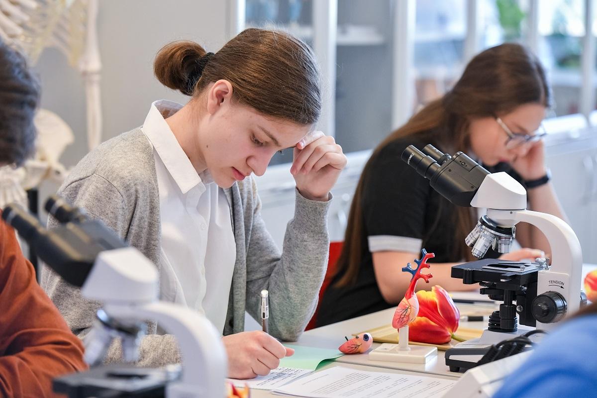 Как выбрать профильный класс: 5 советов для школьников и их родителей Как выбрать профильный класс: 5 советов для школьников и их родителей