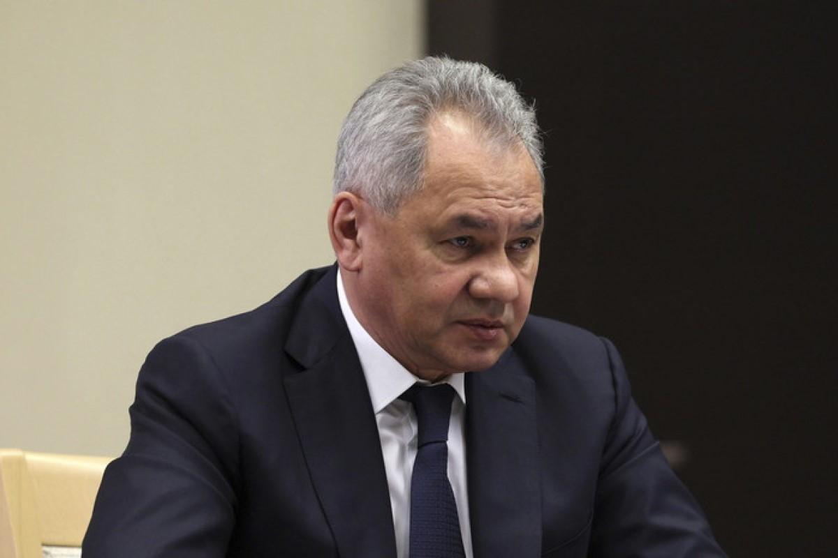 Шойгу поздравил Александра Вулина с назначением на должность зампреда правительства Сербии