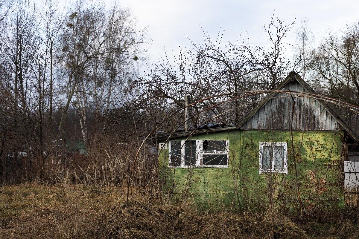 В правительстве рассказали, за что земельные участки россиян могут признать неиспользуемыми В правительстве рассказали, за что земельные участки россиян могут признать неиспользуемыми