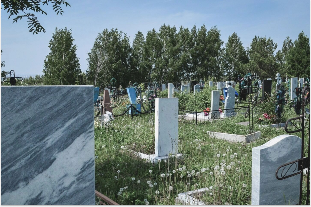 Белгородская область показала повышенную смертность по сравнению с остальным регионом Белгородская область показала повышенную смертность по сравнению с остальным регионом