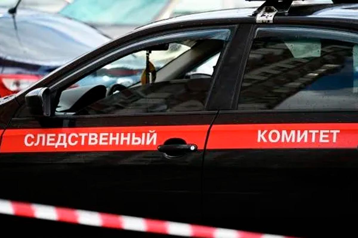Председатель «Зова народа» потребовал наказания для блогерши за призывы к смерти солдат Председатель «Зова народа» потребовал наказания для блогерши за призывы к смерти солдат